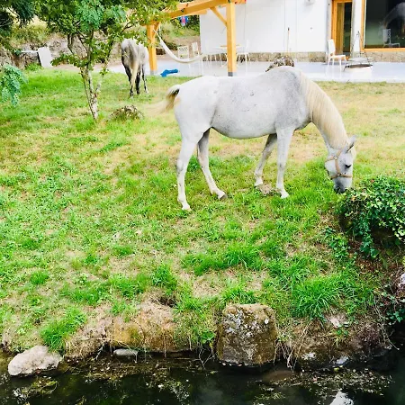 Briabi Lodge